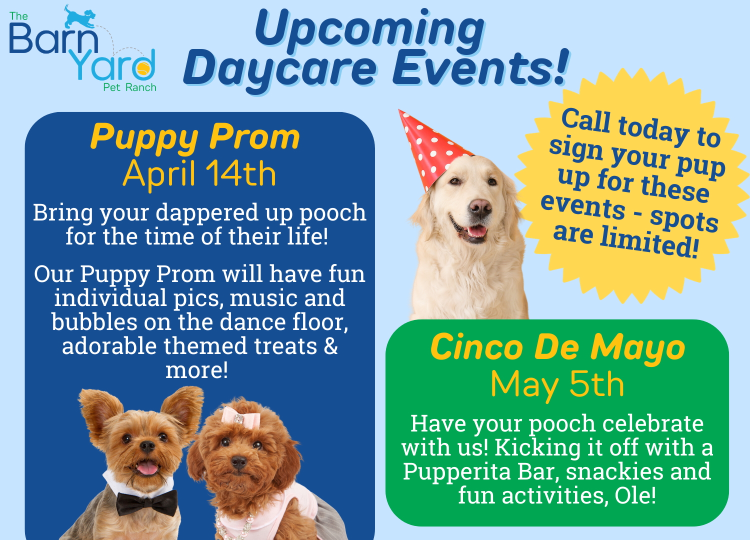 Daycare Events Pop-Up